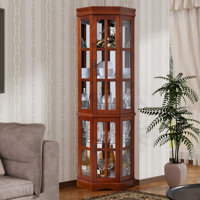 Corner Curio Cabinet with 5 Shelves and Lighting System, (E26 light bulb not included) by Winston Porter