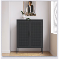 Metal Storage Cabinet with 2 Doors and 2 Adjustable Shelves, Steel Storage Cabinet by Ebern Designs