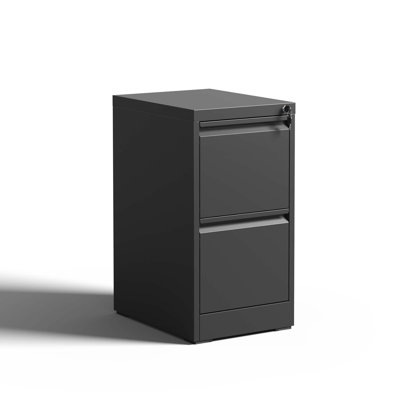 Metal Vertical File Cabinet With Lock Office Home Steel Vertical File Cabinet For A4 Legal/Letter Size by Wrought Studio