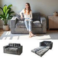 Bean Bag sofa,Floor Sofa Bed Loveseat by Trule