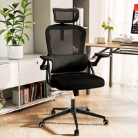 Omir Ergonomic Office Chair With Lumbar Support & Flip Up Arms Home Office Desk Chairs Rockable Swivel High Back Computer Chair Mesh Study Chair by Inbox Zero