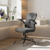 Ergonomic Office Chair, Adjustable Headrest With Lumbar Support & Flip-up Arms by Inbox Zero