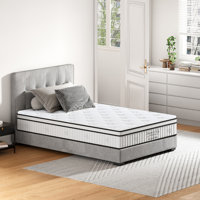 Mattress, 12 Inch Hybrid with Pocketed Springs, Medium Firm by Alwyn Home