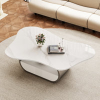 41.7" Modern Gold  Coffee Table With Butterfly-Shaped Design, Faux Marble Coffee Table With Storage by Mercer41