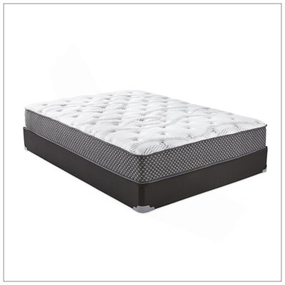 10" Quilted Hybrid Mattress, Medium Firm by Ebern Designs