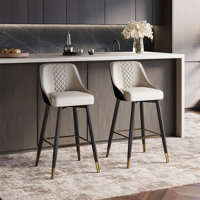 Vera - Modern Bar Height Bar Stools Set Of 2 by POVISON