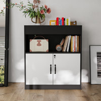2-Door 1-Shelf Office Cabinet With Modern Design