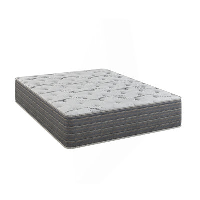 13.5" Dreamflex Cooltouch Cover Two Sided Plush Mattress by Latitude Run