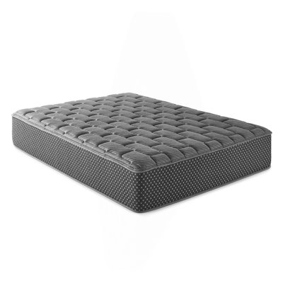 13" Quilted Mattress, Firm by Ebern Designs
