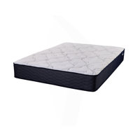 Comfort Foam Mattress by Alwyn Home