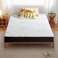 Memory Foam Mattress Medium Feel With Removable Cover by Alwyn Home