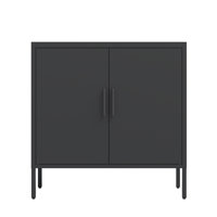 Metal Storage Cabinet With 2 Doors And 2 Adjustable Shelves, Steel Garage Storage Cabinet, Metal File Cabinet For Home Office School Gym, by Latitude Run