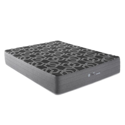 10" Smooth Top Foam, Lux Firm, Mattress by Alwyn Home
