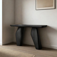 Retro Art Console Table by Orren Ellis
