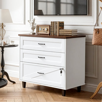2 - Drawer Farmhouse File Cabinet With Lock & Multi - File Fit by Inbox Zero