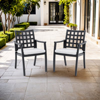 Modern Classic Cast Aluminum Outdoor Patio 2-Piece Dining Chairs, Ergonomic Lattice Backrest Design,Fabric Cushion,Weather-Resistant by Wildon Home