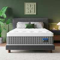 14" Medium Firm Hybrid Mattress,Cooling Gel Memory Foam & Pocket Springs for Spine Support & Motion Isolation by Alwyn Home