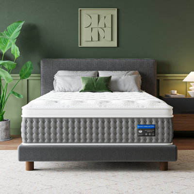 14" Medium Firm Hybrid Mattress,Cooling Gel Memory Foam & Pocket Springs for Spine Support & Motion Isolation by Alwyn Home