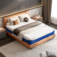 Gel Memory Foam Mattress, Medium Firm, CertiPUR-US Certified, for Support & Pressure Relief, with Removable Machine Washable Cover by Alwyn Home