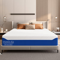 Gel Memory Foam Mattress, Medium Firm, CertiPUR-US Certified, for Support & Pressure Relief, with Removable Machine Washable Cover by Alwyn Home