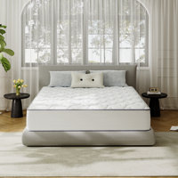 Alwyn Home 10"/12" Plush Hybrid Mattress With Cooling Gel Memory Foam – Anti-Static Technology 10-Year Warranty & Certipur-US, OEKO-TEX, SGS Certified by Alwyn Home