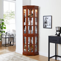 Corner Curio Cabinet With 5 Shelves Anding System(E26 Bulb Not Included) by Winston Porter
