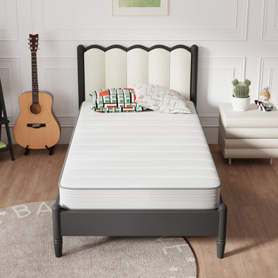 Medium Firm Memory Foam and Spring Hybrid Mattress by Ebern Designs