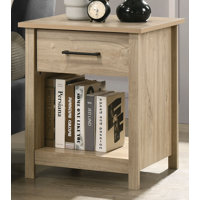 Celeste 20-inch Wide 1-Drawer Nightstand Bedside Table with Open Shelf and Silver Handle, Modern Bedroom Side Table or End Table by Ebern Designs
