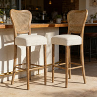 BARSTOOL( SET OF 2 ) by Bayou Breeze