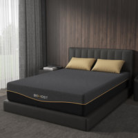 Memory Foam With Comfort For Pressure Relief by Alwyn Home