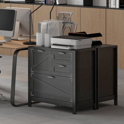 4 Drawer File Cabinet Filing Cabinet for Letter/A4/Legal Files by Gracie Oaks