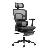 Ergonomic Office Chair With Footrest, 4D Adjustable Armrests, Comfy Swivel Rolling Mesh Computer Desk Chair With Lumbar Support, Wheels For Office, Ho by Inbox Zero