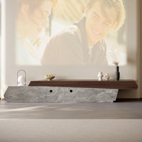 Italian Minimalist and Light Luxury TV Cabinet by Orren Ellis