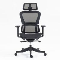 High Back Mesh Office Chair by Inbox Zero