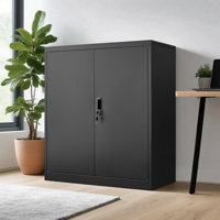 Lockable Metal Storage Cabinet with 2 Adjustable Shelves and Secure Doors