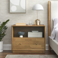 Claudia 30" Extra Wide Night Stand by Latitude Run