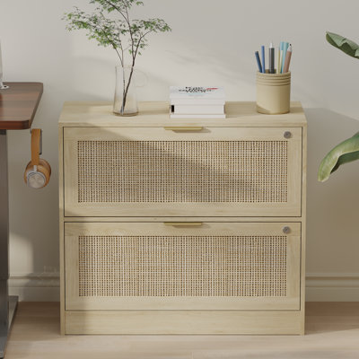 31.1"W Rattan File Cabinet With 2 Drawer & Lock by Bay Isle Home