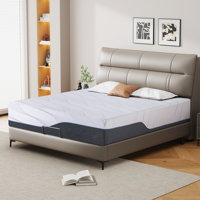 Memory Foam Mattress With Green Tea & Bamboo Charcoal Infusion, Medium Firmness,Vacuum Compressed For Easy Storage, Suitable For All Sleeping Position by Alwyn Home