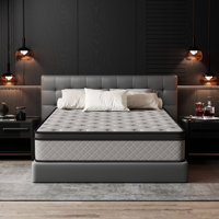 Evann 10"/12"/14" Medium Firm Hybrid Mattress With Cooling Gel Foam, Anti-Static & Hypoallergenic – Certipur-US, OEKO-TEX, SGS Certified by Alwyn Home