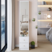 Length 11.8" X Width 15.7" X Height 63" Simple Stylish Dressing Mirror Cabinet, Full Body Mirror Cabinet, Extra Large Mirror, Multi Layer High Capacit by Ebern Designs