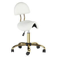 Drafting Chair,Ergonomic Saddle Stool With Back Support,Tall Adjustable Rolling Stool by Ebern Designs