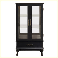 Modern Lighted Curio Cabinet with Glass Doors and Adjustable Shelves by Winston Porter