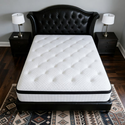 12" Queen Medium Plush Mattress – Pocket Coil & Low Motion Transfer, Hypoallergenic, Certipur-US Certified Foam, Hybrid Mattress In A Box by Alwyn Home