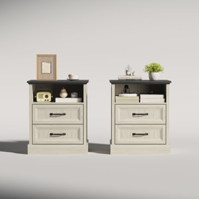 23.6" Tall 2-Drawer Nightstand Set for Bedroom by Winston Porter