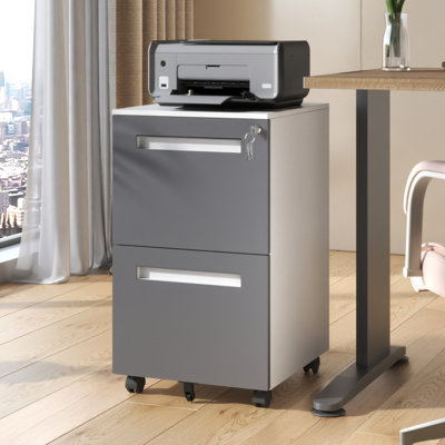 2 Drawers Metal Mobile Filing Cabinets with Lock by Inbox Zero