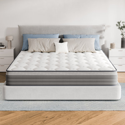 Plush Skin Friendly Memory Foam Anti Static Hybrid Mattresses In A Box With Certipur-US And Fire SGS Protection Certified by Alwyn Home