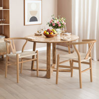 Wagner Woven Dining Chair (Set Of 2) by Dakota Fields