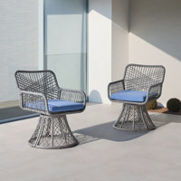 Wicker Swivel Chair 2pcs Set by Dakota Fields