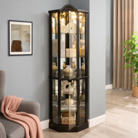 Lighted Glass Display Cabinet Corner Curio Cabinet by Fleur De Lis Living