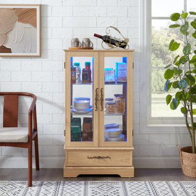 Lighted Glass Curio Cabinet With Adjustable Shelves by Charlton Home